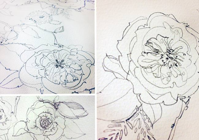 Peony and Rose Pencil Sketch Pattern