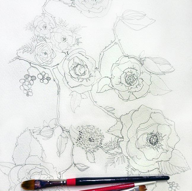 Peony and Rose Pencil Sketch Pattern